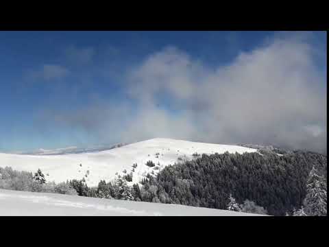 ლექსი ლომის მთაზე/ბორჯომ-ხარაგაულის ეროვნული პარკი